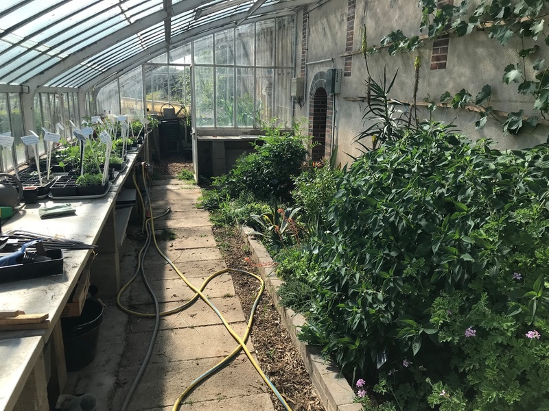 Jardin Potager du Domaine de Chambray