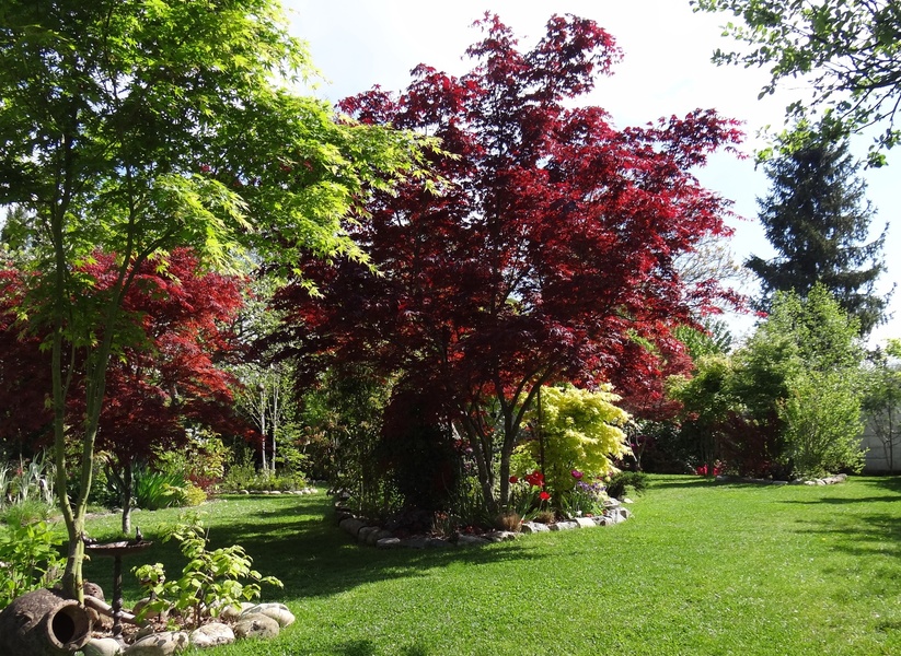 JARDIN DU GRAND CHARME