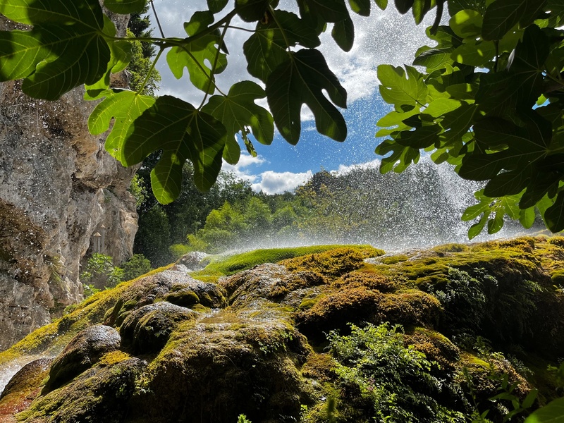 JARDIN DES FONTAINES PÉTRIFIANTES