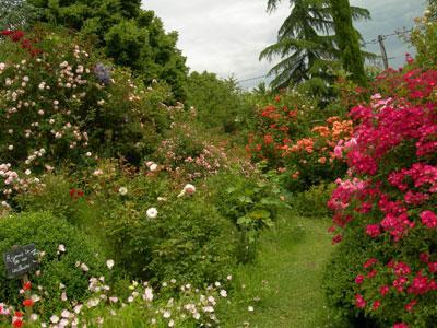 JARDIN DE BOISSONNA