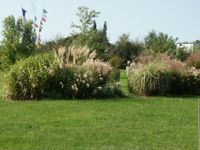 ARBORETUM DE PODESTAT