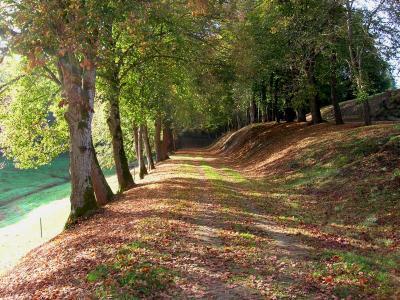 PARC DU CHÂTEAU DE CHASTELLUX