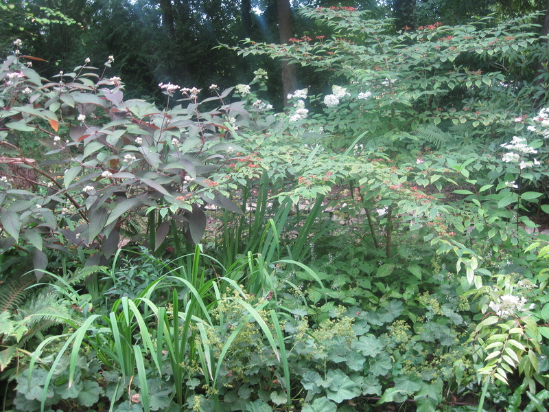 JARDIN SOUS LES CÔTES