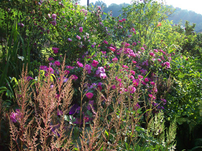 JARDIN DU FAUDÉ