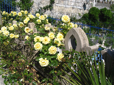 JARDINS DE LA CASAMAURES