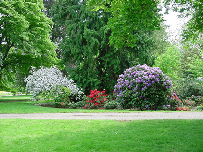 PARC D'ALLIER