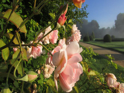 PARC ET JARDINS DU CHÂTEAU DU LUDE