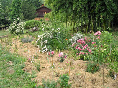 LE JARDIN DES PLANTES AUTONOMES