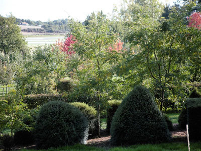 Le jardin botanique d'Alkinoos