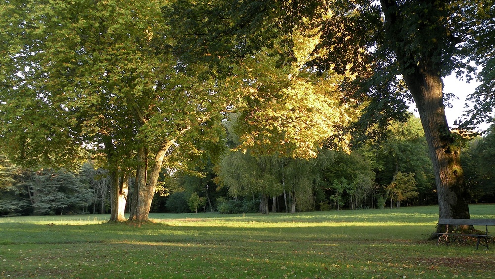 Arboretum de la Grande Lienne