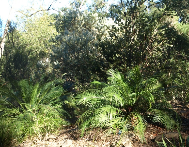 Jardin Zoologique tropical