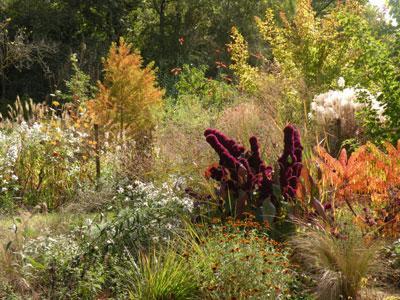 Le jardin du fond de l'or