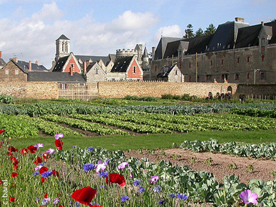 LE POTAGER DU CHÂTEAU