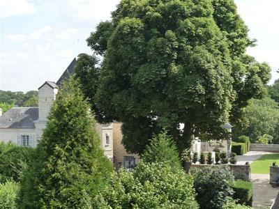 LES JARDINS DE LA MUETTE