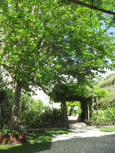 Jardin d'inspiration médiévale du donjon de Loches