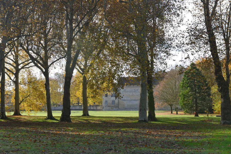 PARC DE L'ABBAYE DE MAUBUISSON