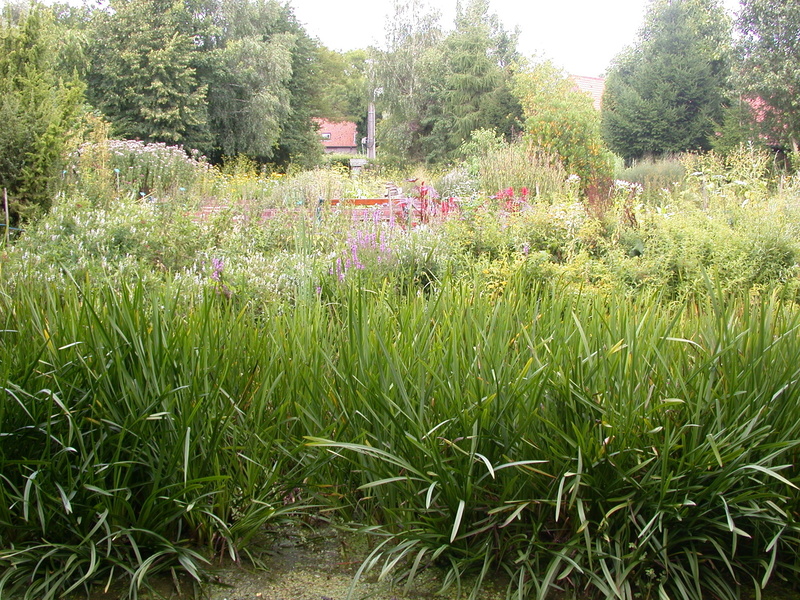 JARDIN DES PLANTES MEDICINALES MATHIAS DE L'OBEL