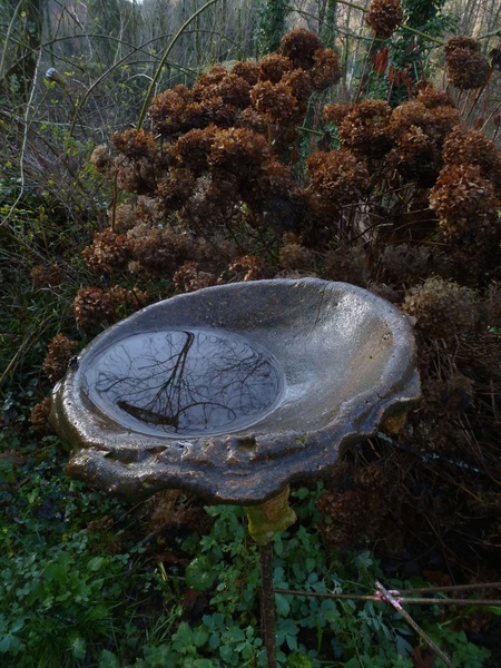 JARDINS DU CHATEAU DU PIN