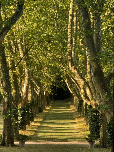 Parc du Domaine de Montlaur