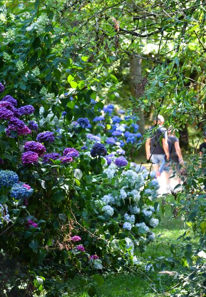 LES JARDINS DE BROCÉLIANDE