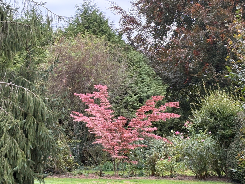 LE CLOS de CHANCHORE- Jardin Botanique
