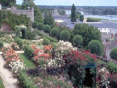 ROSERAIE DES TERRASSES DE L'EVÊCHÉ