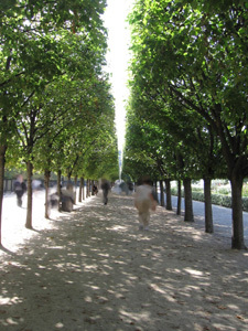 JARDIN DU PALAIS ROYAL