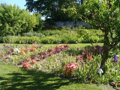 Parc de l'abbaye de Vaucelles