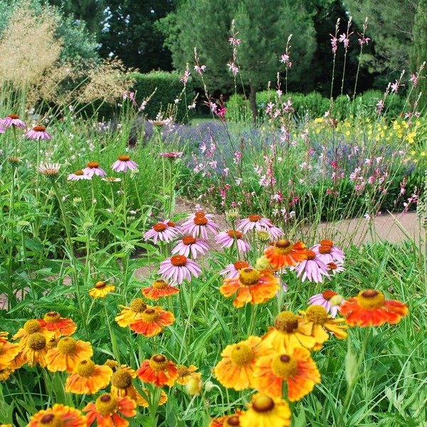 Les Jardins de Colette et son Labyrinthe