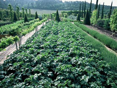 JARDINS DU CHÂTEAU VAL JOANIS