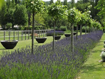 Les Jardins du Chaigne