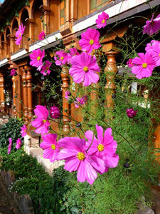 Jardins Secrets