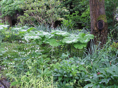 LE JARDIN DES ORCHIDÉES