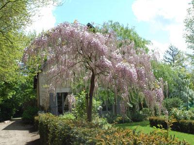 Arboretum Adeline