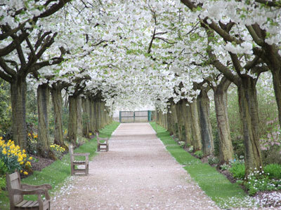 JARDINS DE VALLOIRES