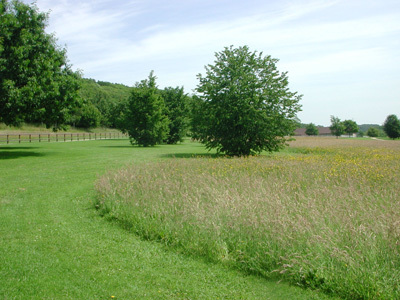 LE PARC DE ROUELLES