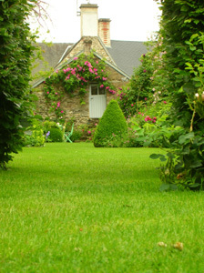 LE JARDIN DES OUBLIÉES