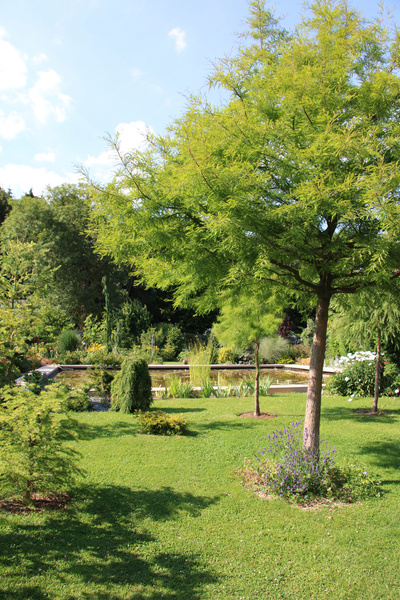 Reflets de Jardin