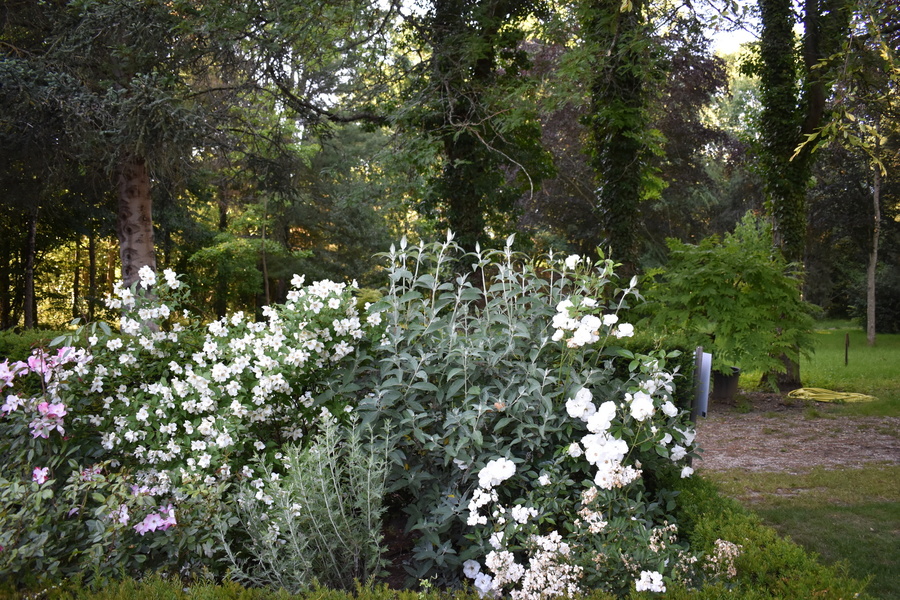 Arboretum Adeline