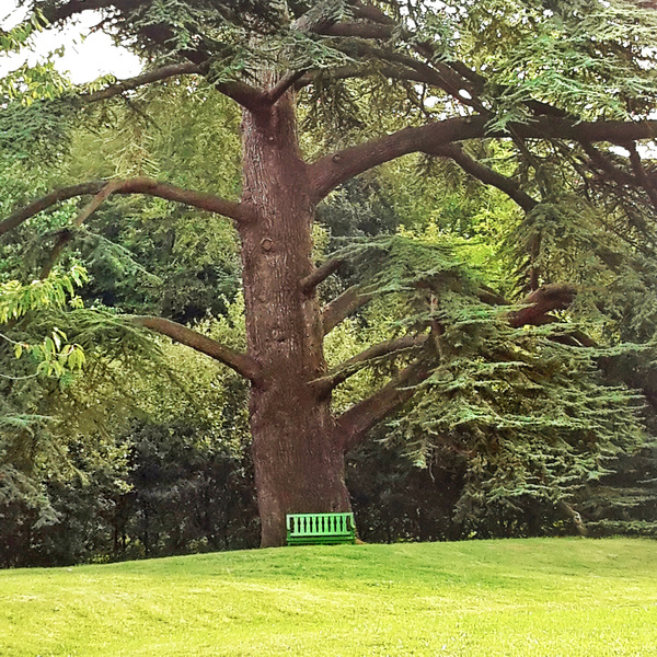 Parc du Château de Chantore