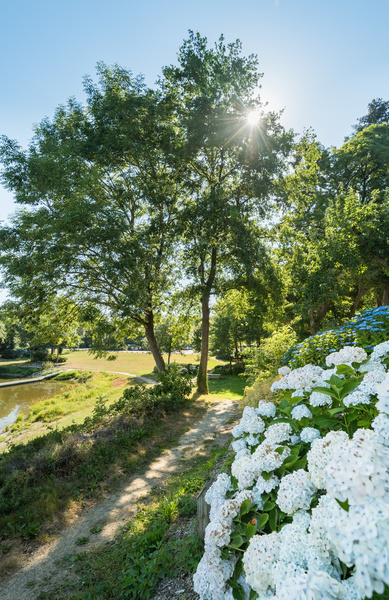 CIRCUIT DES HORTENSIAS