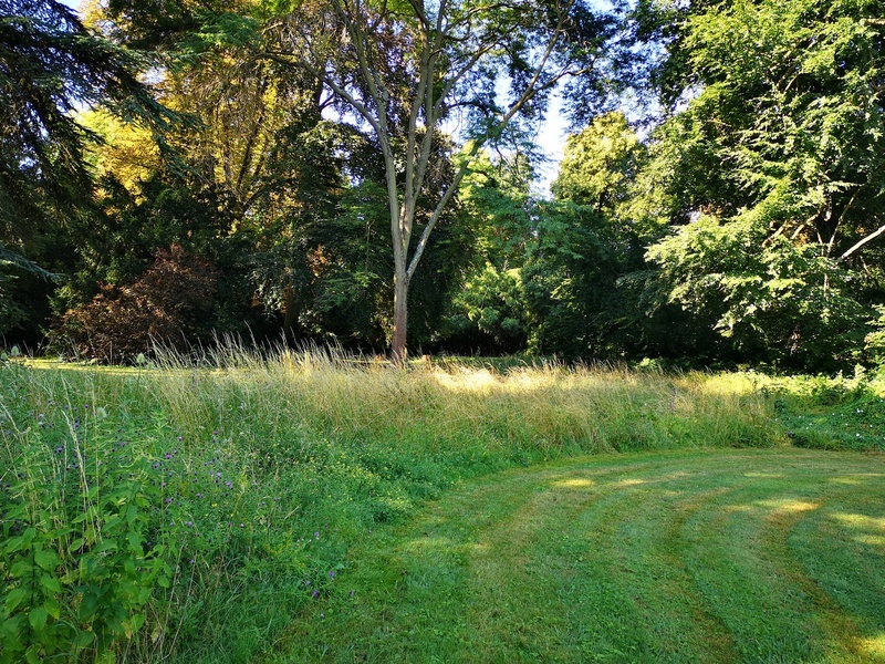 Parc Dupeyroux