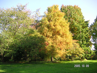 JARDIN DE MARDALOUX