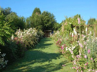 LA ROSE DES PRAIRIES