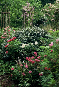 LES JARDINS DE SONJA