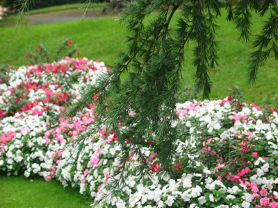 JARDIN PUBLIC FERDINAND VILLARD