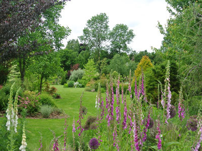 JARDIN DU MOULIN VENTIN