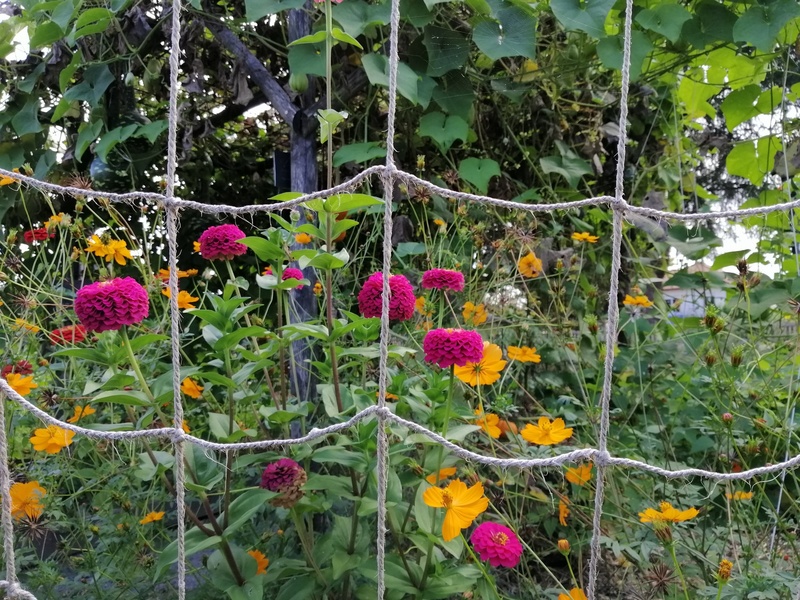 Jardin-verger Conservatoire