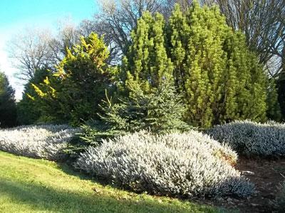 JARDIN BOTANIQUE DES MONTAGNES NOIRES