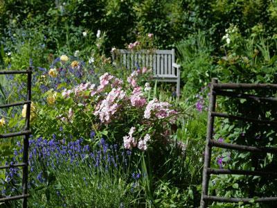 Le Jardin des Plantes de Chez Nous